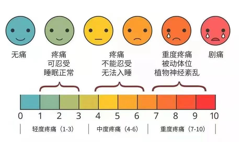 微信图片_20241114104028.jpg